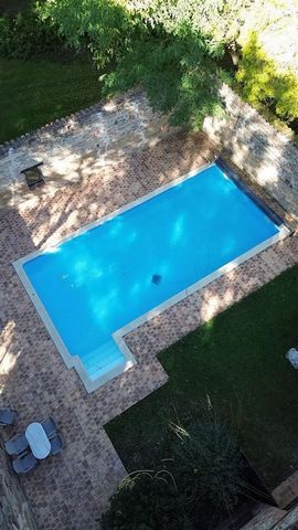 photo no. 7