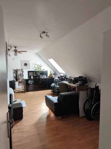 photo no. 12