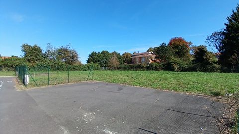 photo no. 4