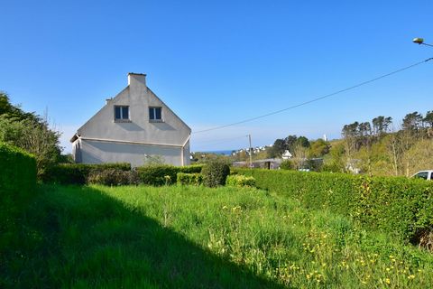 photo no. 1