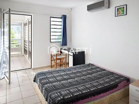 photo no. 11