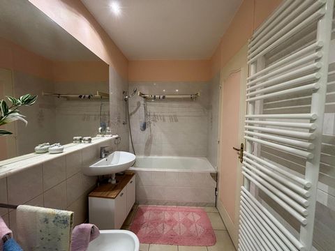 photo no. 6