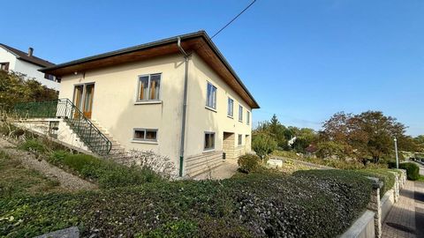 photo no. 9