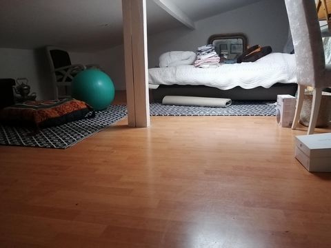 photo no. 8