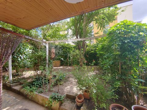photo no. 13