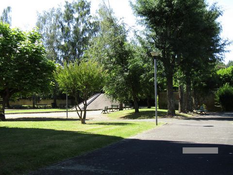 photo no. 6