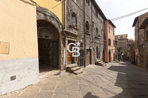 Viterbo Centro Storico, San Pellegrino Nel centro storico di Viterbo, precisamente in Via Borgolungo, a ridosso del quartiere storico di San Pellegrino, proponiamo in vendita un locale C/3 di mq 55, dotato di bagno. Limmobile presenta due grandi ambi...