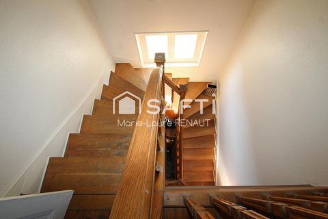 photo no. 11