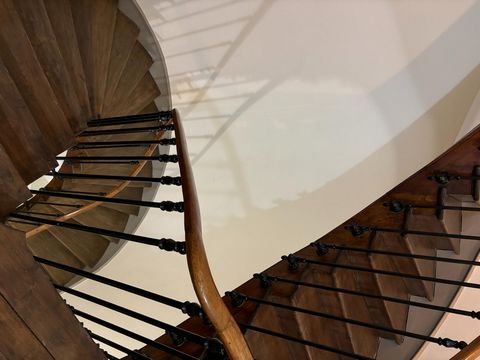 photo no. 8