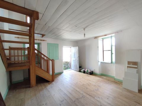 photo no. 12