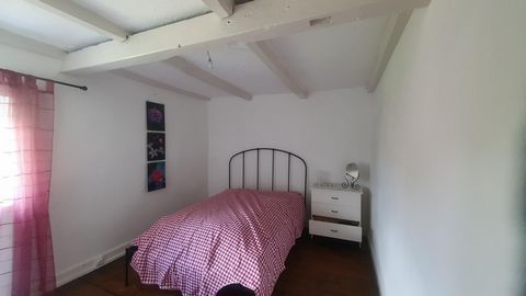 photo no. 8