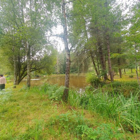 photo no. 13