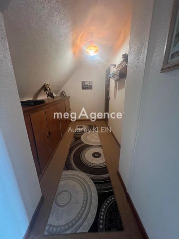 photo no. 13