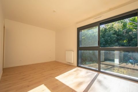photo no. 2