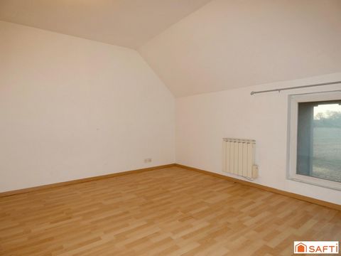 photo no. 11