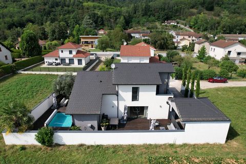 photo no. 12
