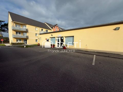 photo no. 11