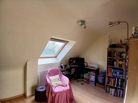 photo no. 11