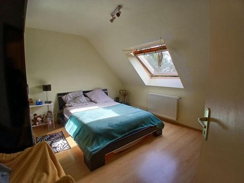 photo no. 12