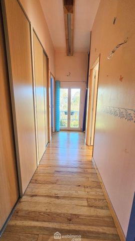 photo no. 12